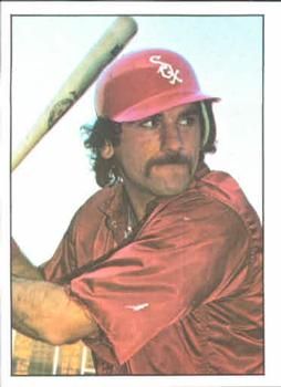 thumbnail 143  - 1975/1976 SSPC Baseball Cards #1-250 You Pick!