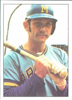 thumbnail 237  - 1975/1976 SSPC Baseball Cards #1-250 You Pick!