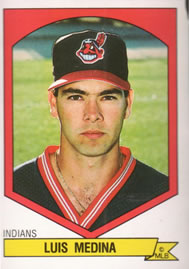 1989 Panini Baseball Stickers #251-480 You Pick! - Bild 65 von 229