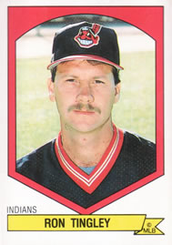 1989 Panini Baseball Stickers #251-480 You Pick! - Bild 66 von 229