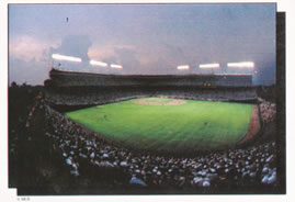 1989 Panini Baseball Stickers #1-250 You Pick! - Picture 7 of 251